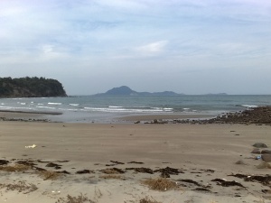 海
