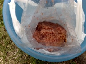 餌
