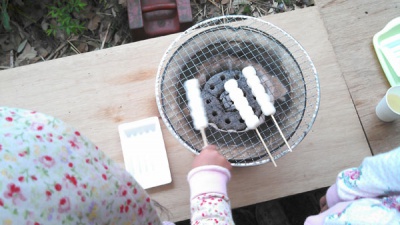 IMG_20130331_103041