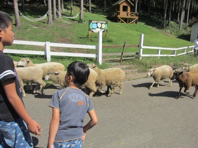 IMG_2908