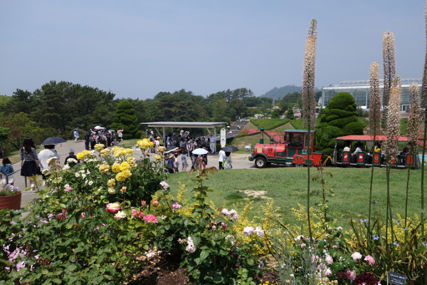 DSC01488