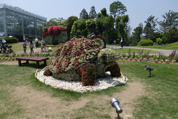 DSC01550