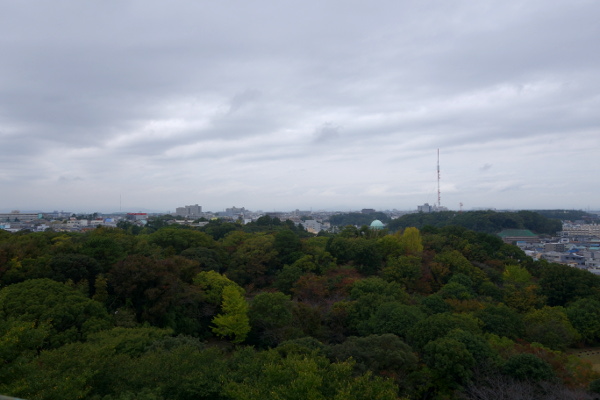 DSC02661