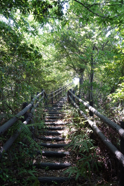 DSC04134