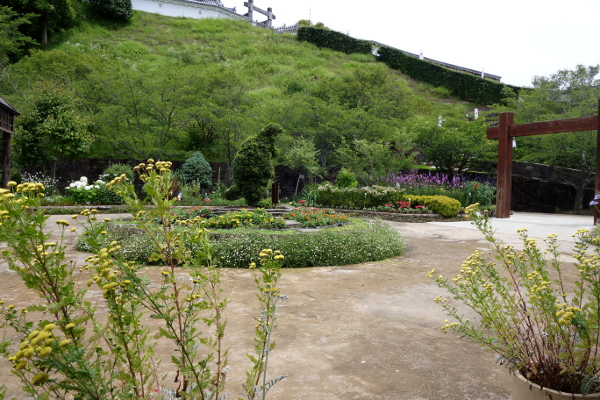 DSC04417
