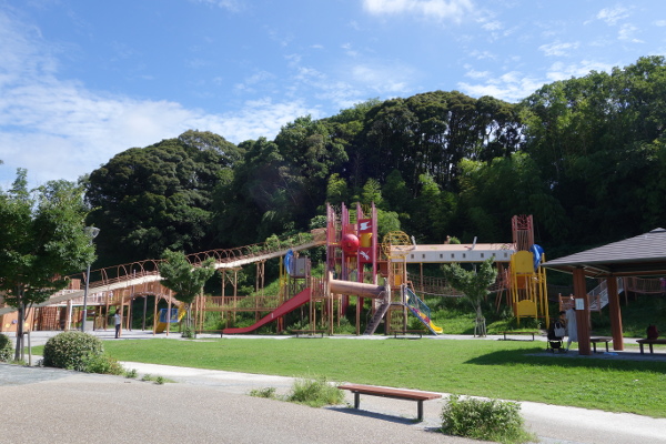DSC04535