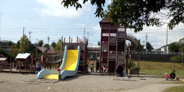 DSC05193