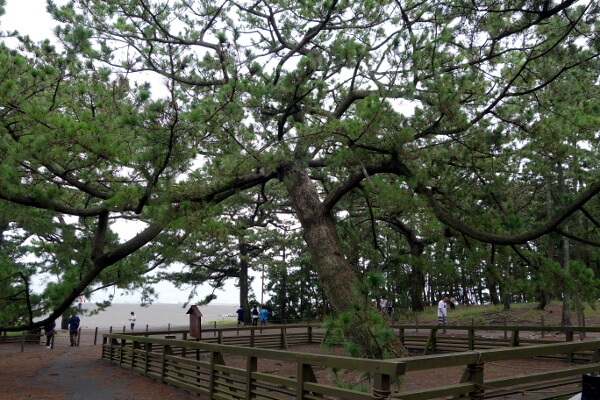 dsc06940