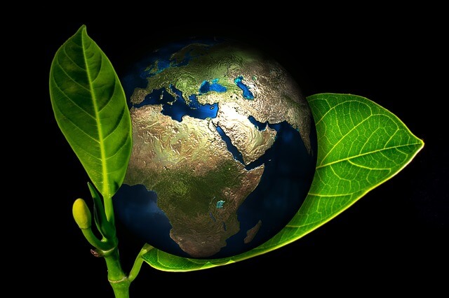 Ecosia