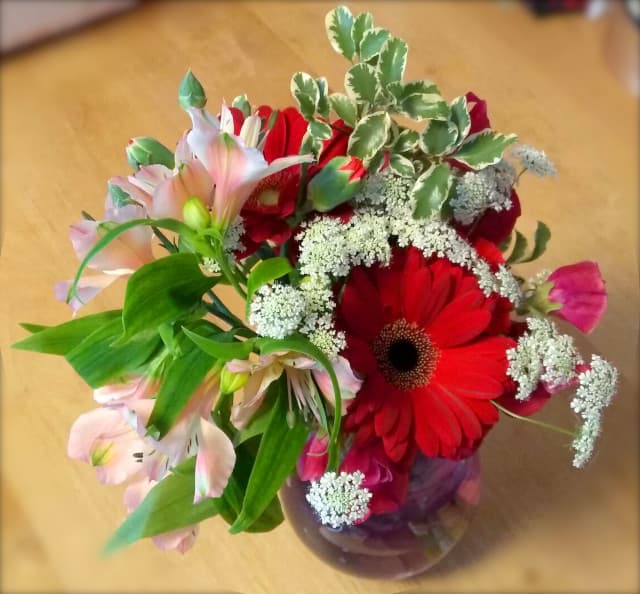 のぶりんの誕生に買った花