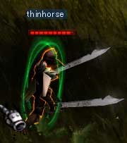 thinhorseさん
