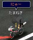 にゃー