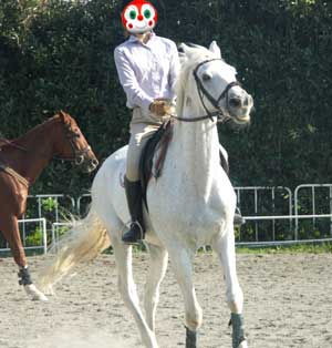 乗馬