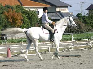 乗馬