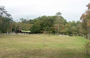 公園