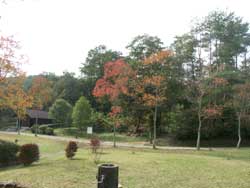 公園