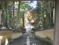 紅葉