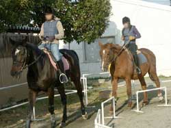 乗馬中