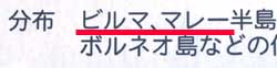 マレー