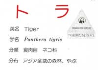 トラ